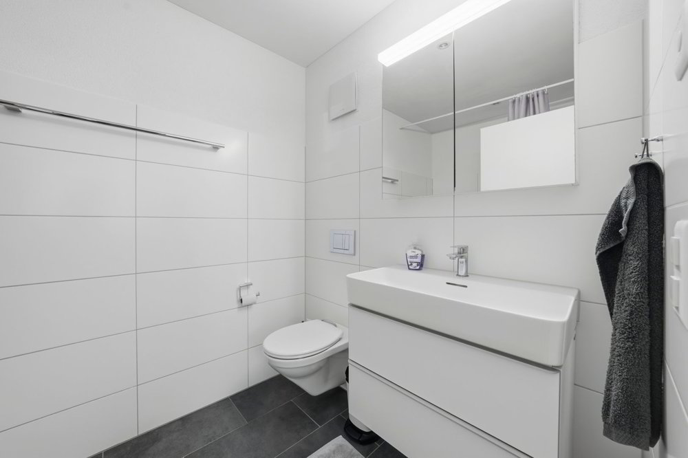 3 rooms Apartment to buy in Niederuzwil - image 1/13