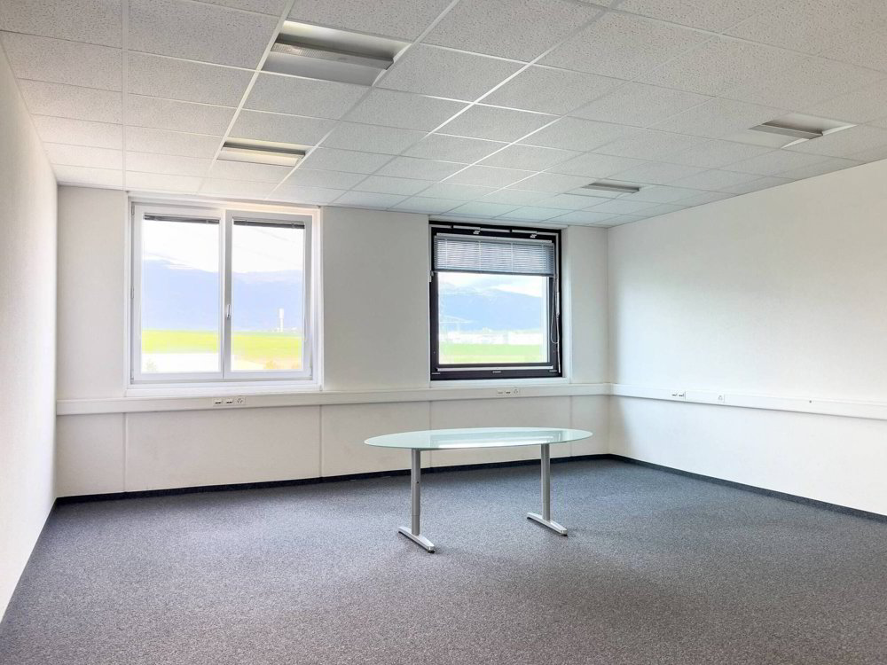 null rooms Office & Commercial for rent in Satigny - image 1/6