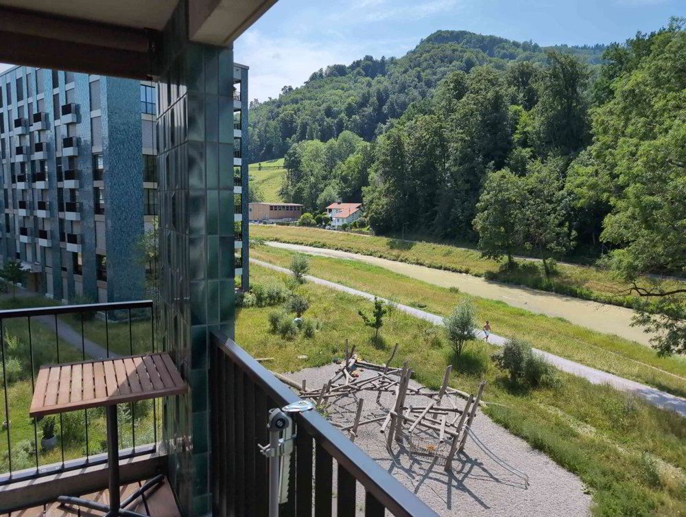 2.5 rooms Apartment for rent in Zürich - image 1/10