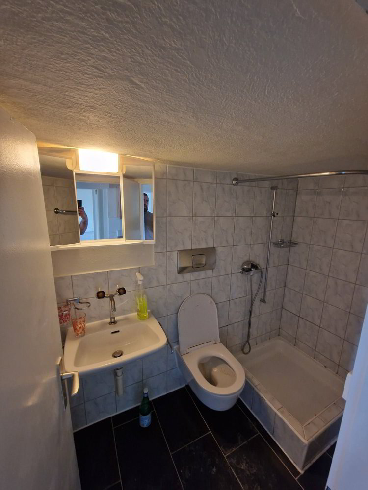 Appartement 4 pièces à louer à Romanshorn - image 1/13