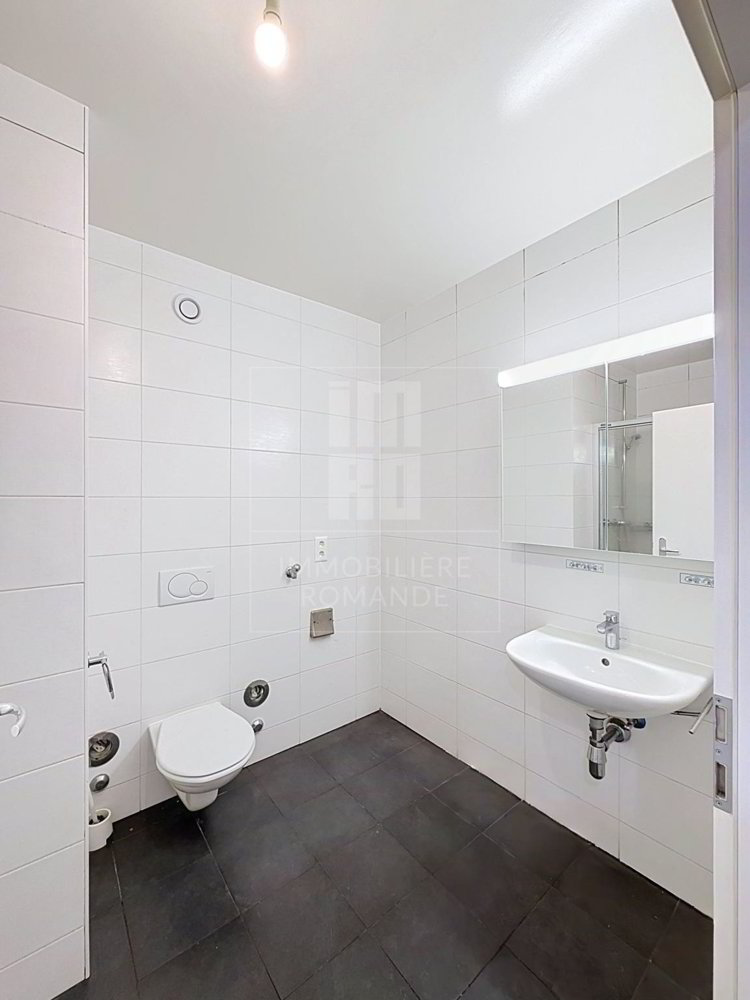 Appartement 5 pièces à louer à Satigny - image 1/13