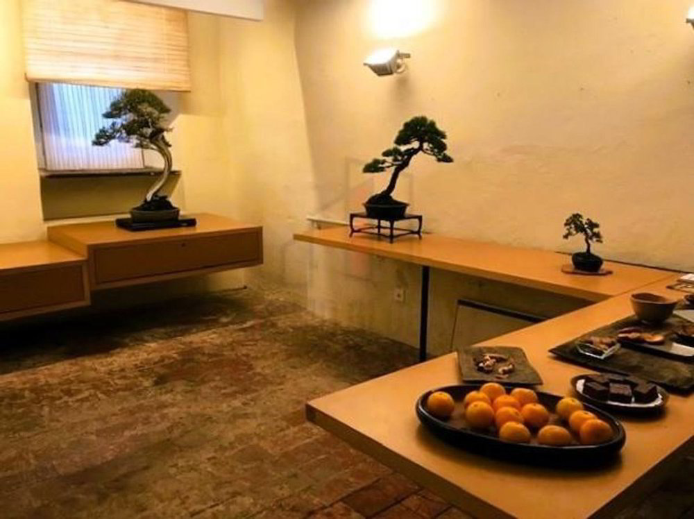 12 rooms House to buy in Caslano - image 1/13