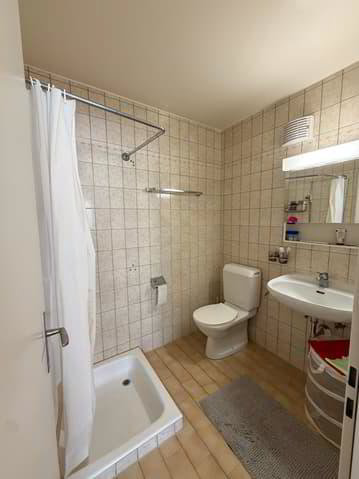 1 rooms Apartment for rent in Vevey - image 1/4
