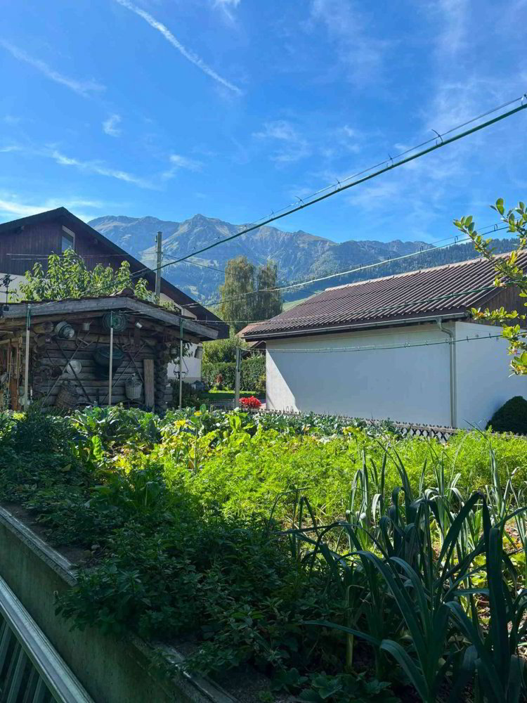 8.5 Zimmer Haus zum verkaufen in Blumenstein - Bild 1/13