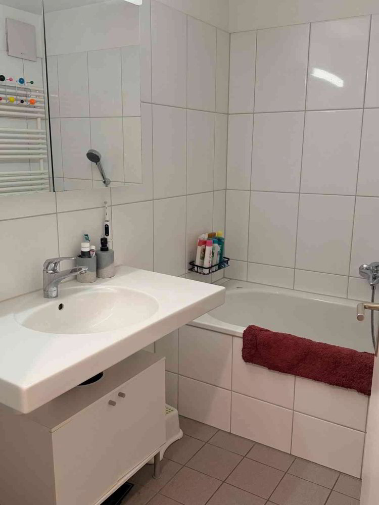 4.5 rooms Apartment for rent in Schaffhouse - image 1/9