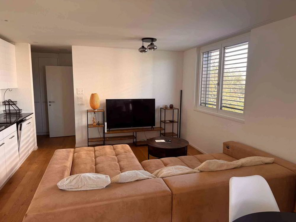 Appartement 2.5 pièces à louer à Amriswil - image 1/8