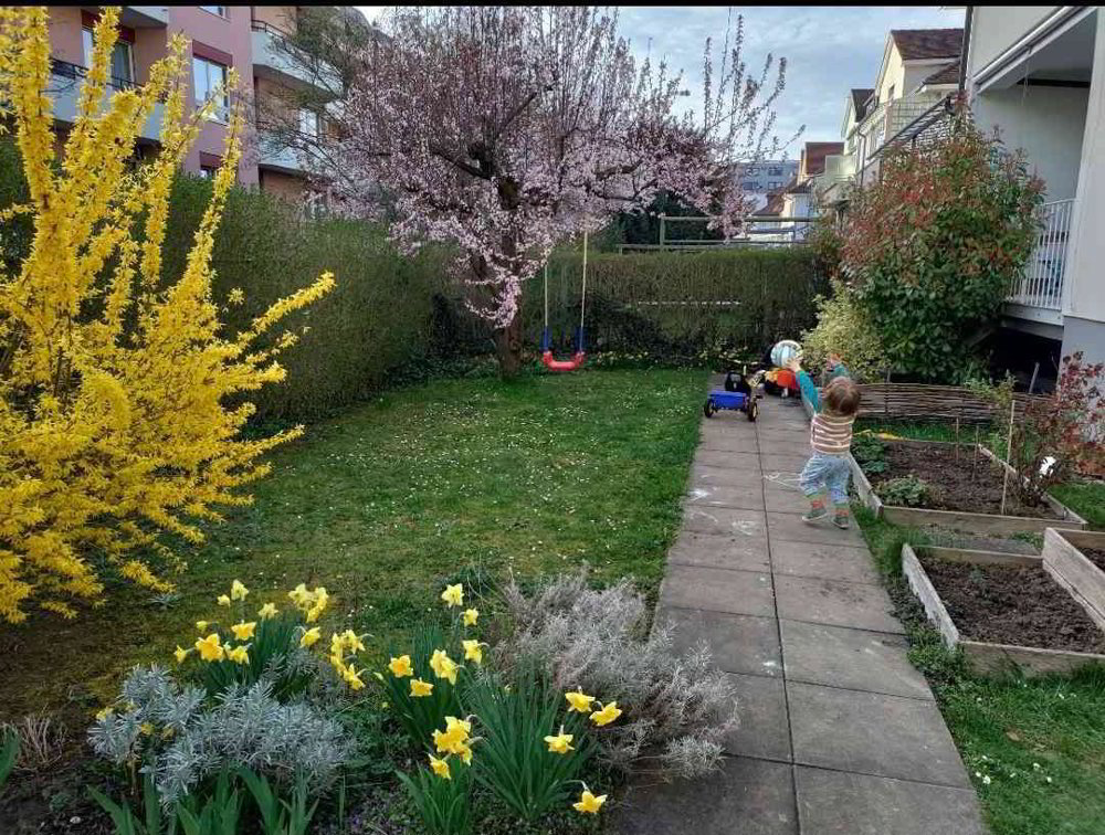 Appartamento di 3.5 locali in affitto a Allschwil - immagine 1/10