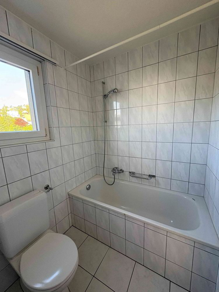 3 Zimmer Wohnung zu vermieten in Beinwil am See - Bild 1/10