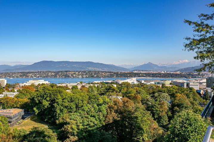 2 Zimmer Wohnung zu vermieten in Geneva - Bild 1/13