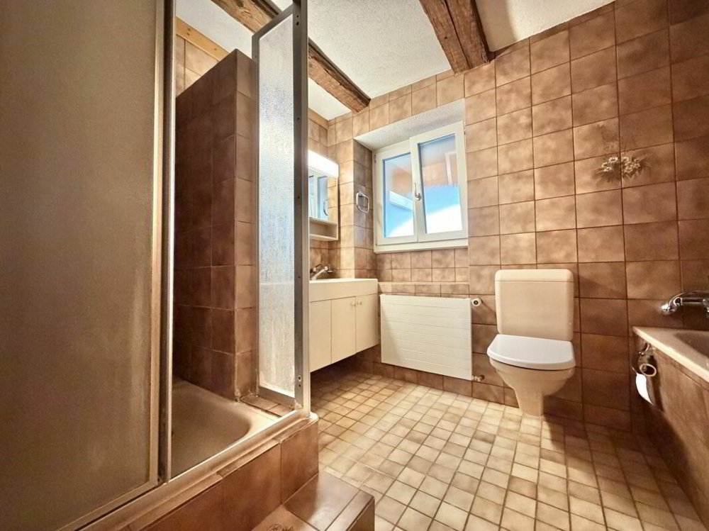 Appartement 5 pièces à louer à Frick - image 1/13