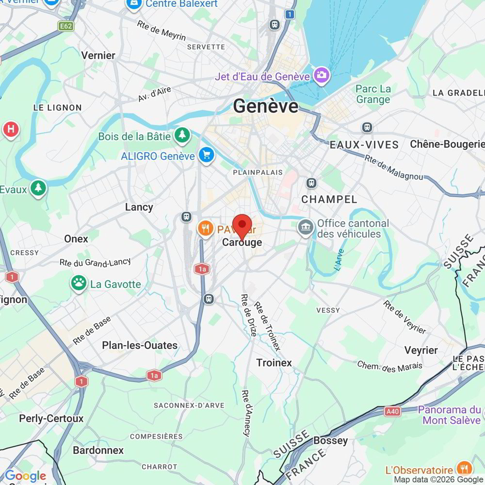 3 rooms Apartment for rent in Carouge GE - image 1/11