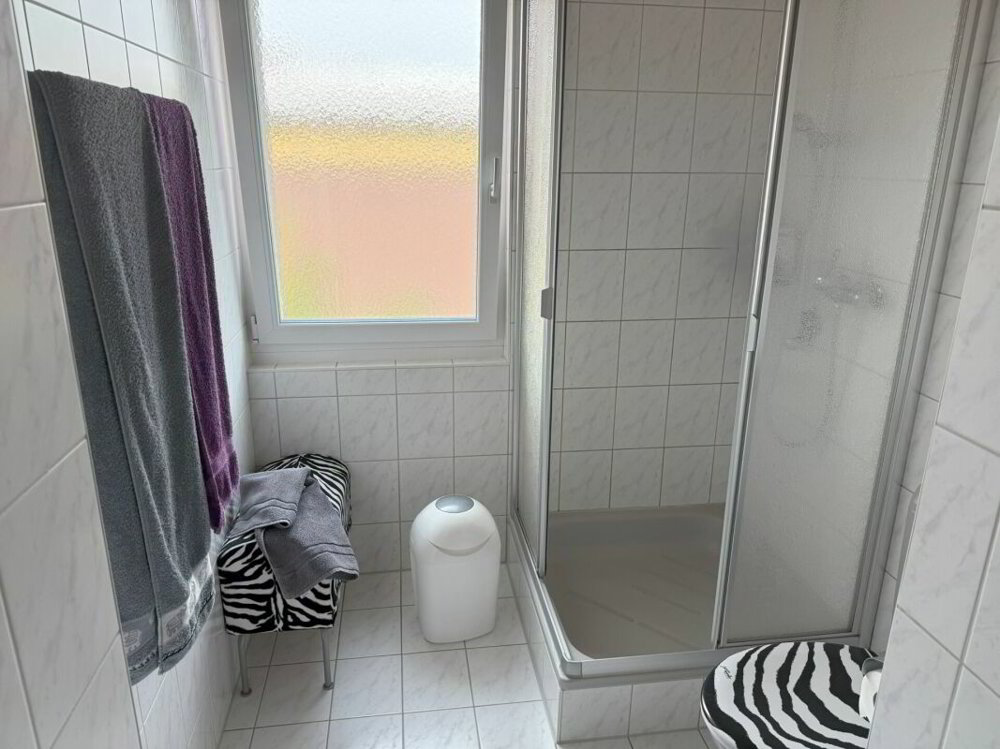 Appartement 5 pièces à acheter à Hagneck - image 1/13