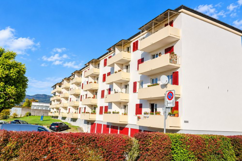 Appartement 2 pièces à louer à Dulliken - image 1/11