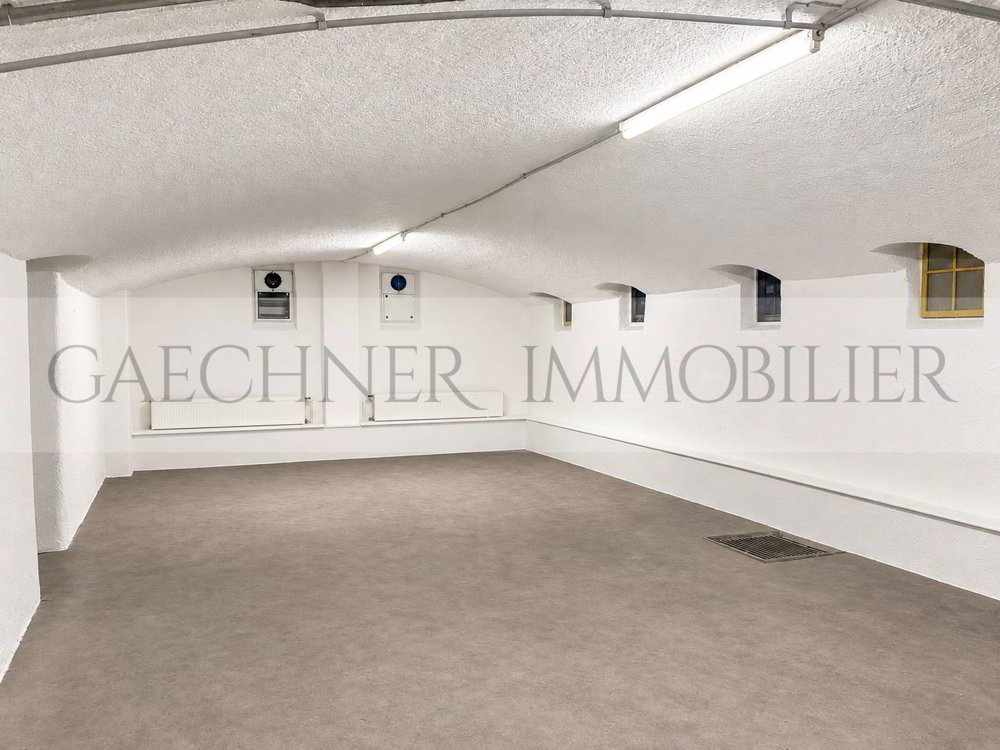 1 rooms Office & Commercial for rent in Geneva - image 1/2