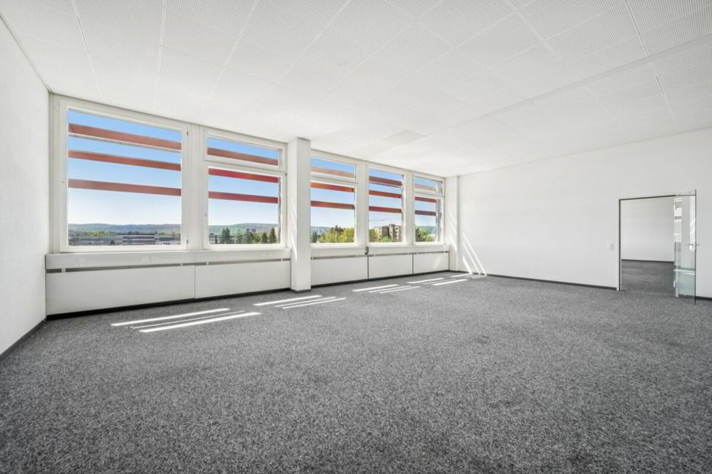Ufficio & Commercio di null locali in affitto a Brüttisellen - immagine 1/10