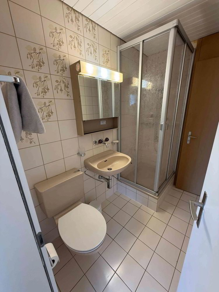 Appartamento di 1 locali in affitto a Oberhofen am Thunersee - immagine 1/6