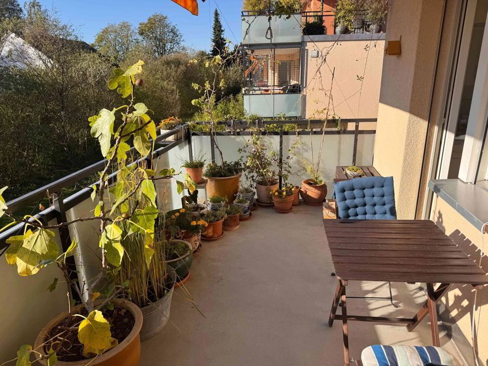 Appartement 4.5 pièces à louer à Olten - image 1/6