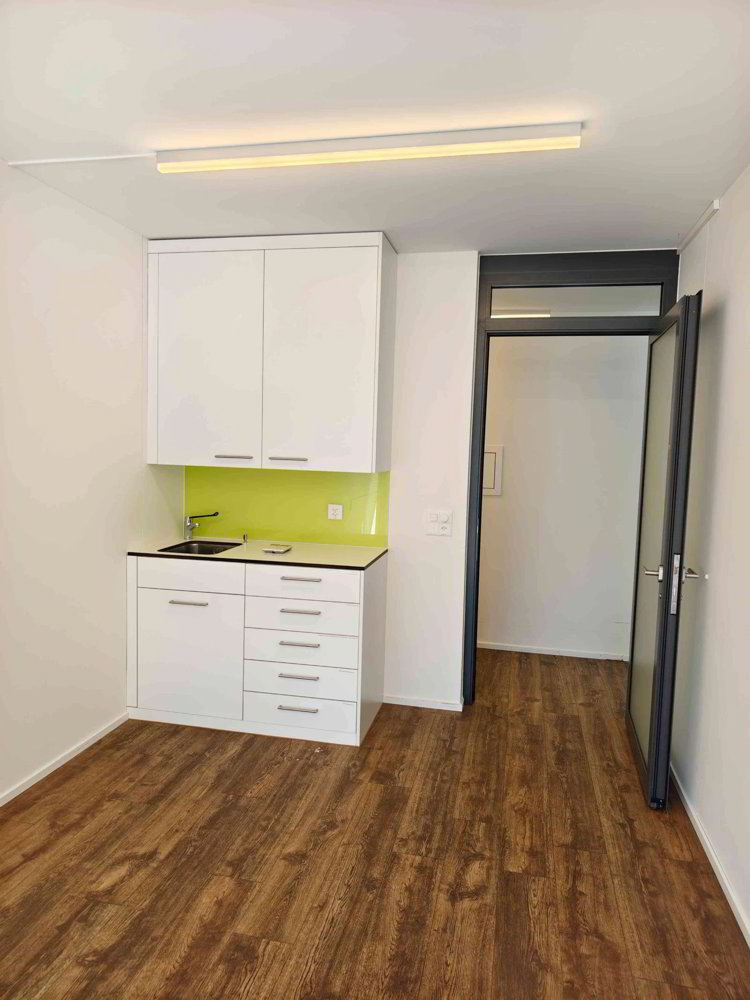 6.5 rooms Office & Commercial for rent in Altdorf UR - image 1/11