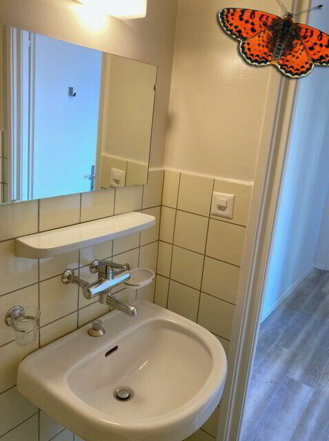 4 Zimmer Wohnung zu vermieten in Pully - Bild 1/13