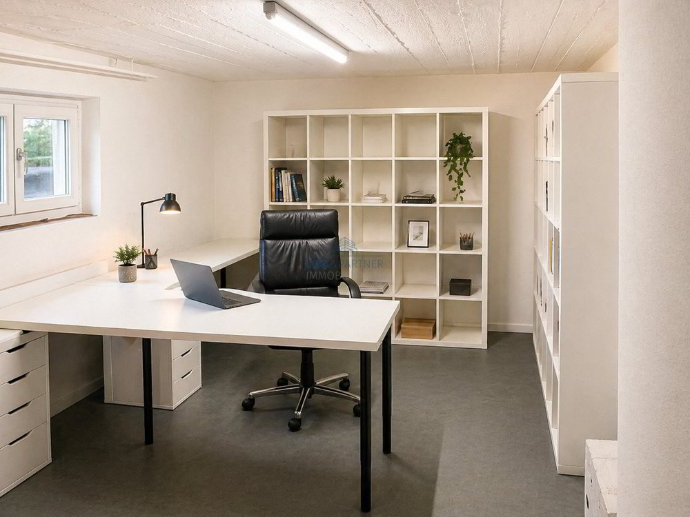 4 Zimmer Haus zum verkaufen in Allschwil - Bild 1/11