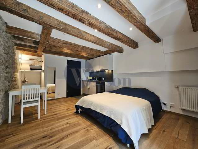Appartement 1 pièces à louer à Nyon - image 1/5