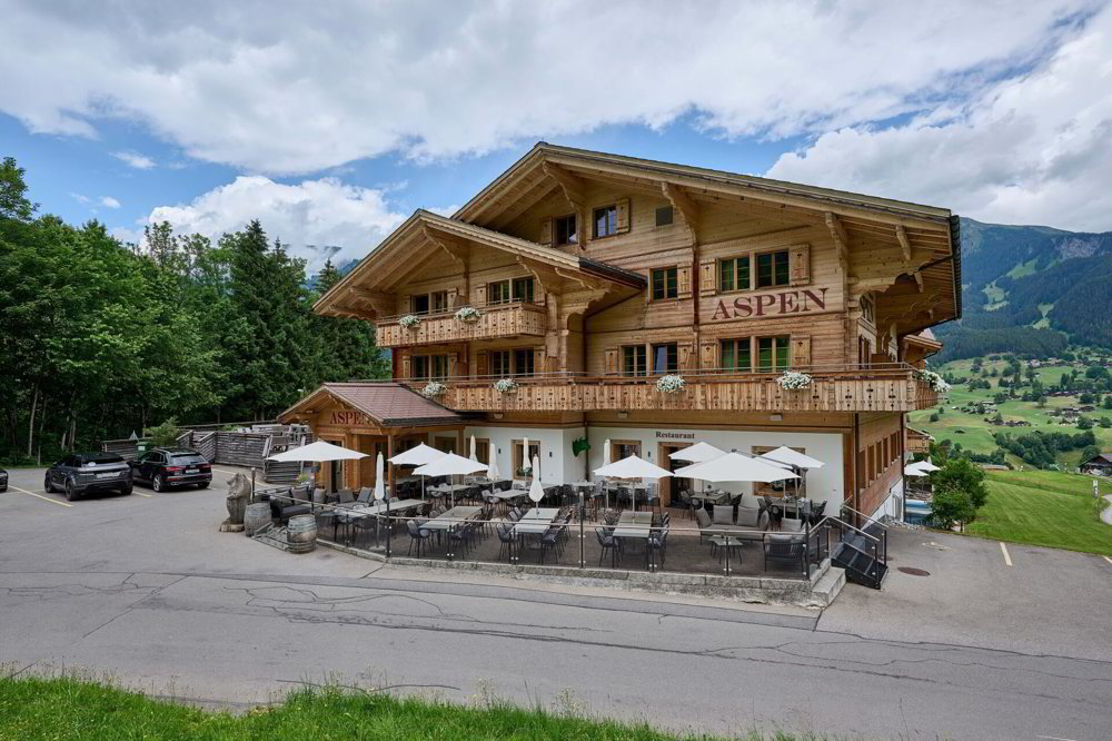 2048 3.5 pièces à acheter à Grindelwald - image 1/19