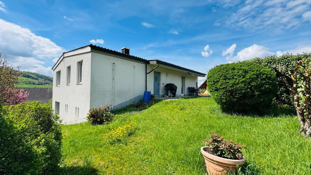 5.5 rooms House to buy in Arisdorf - image 1/24