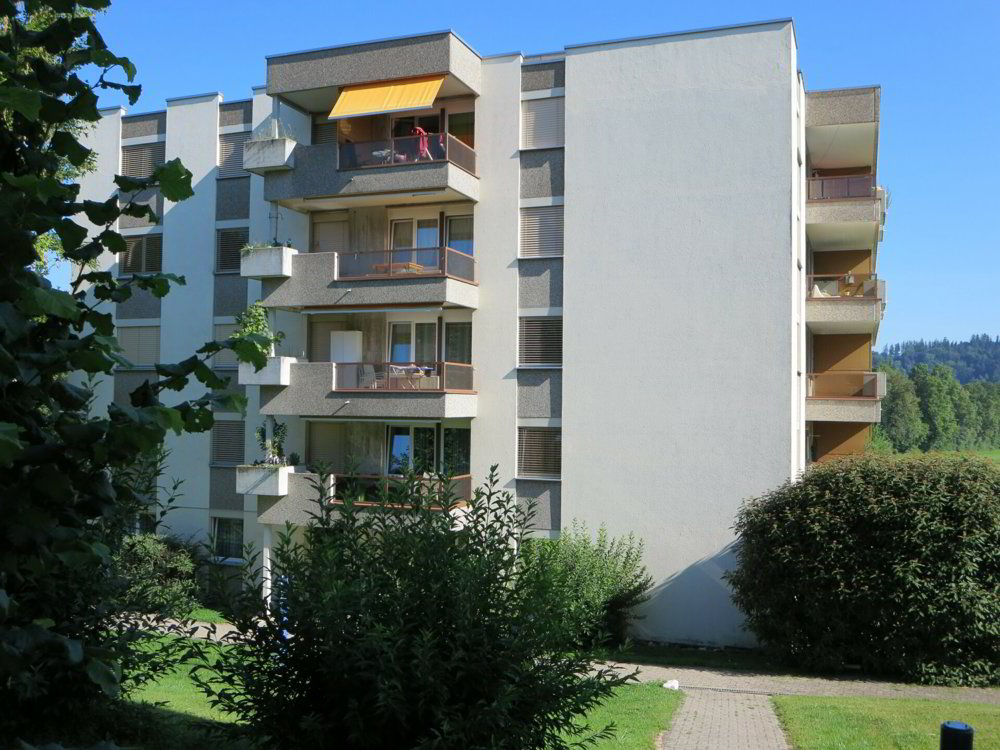 Appartamento di 2.5 locali in affitto a Niederuzwil - immagine 1/10
