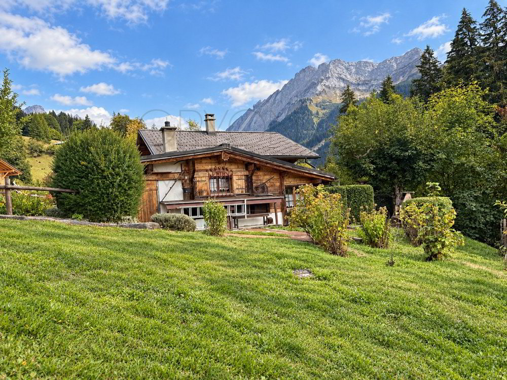7 rooms House to buy in Gryon - image 1/13
