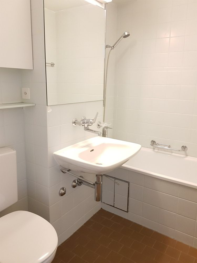 1 rooms Apartment for rent in Basel - image 1/6