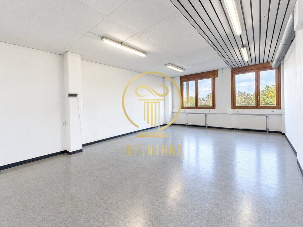 null rooms Office & Commercial to buy in Morges - image 1/4