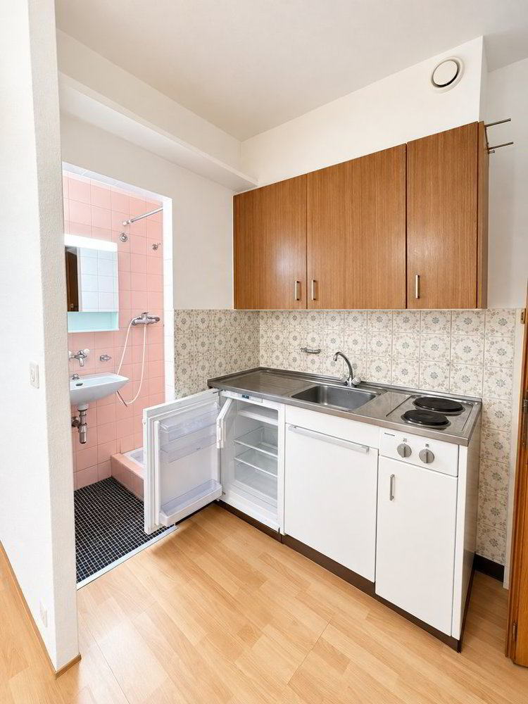 1 rooms Apartment for rent in Lausanne - image 1/2