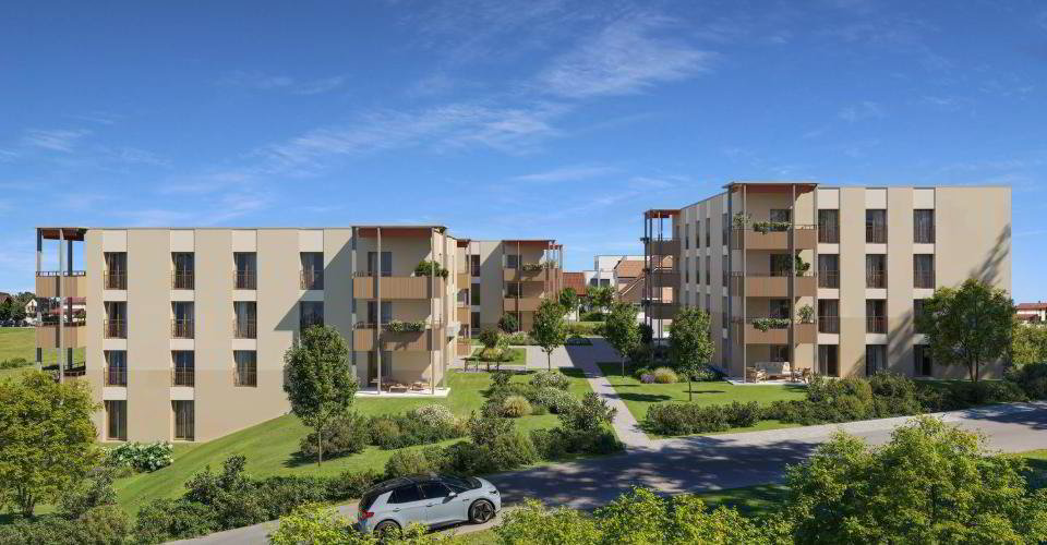 Ufficio & Commercio di null locali in affitto a Cottens FR - immagine 1/12