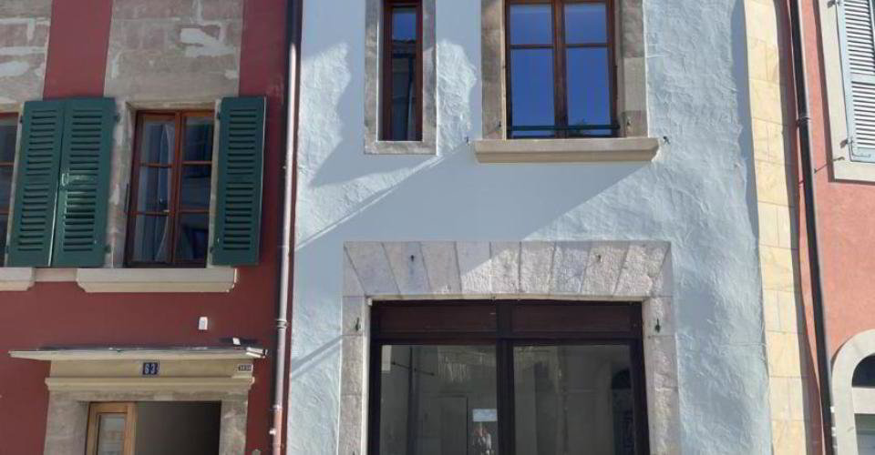 Ufficio & Commercio di null locali in affitto a Nyon - immagine 1/11