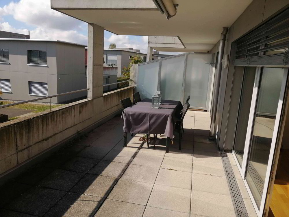 2.5 rooms Apartment for rent in Adlikon b. Regensdorf - image 1/10