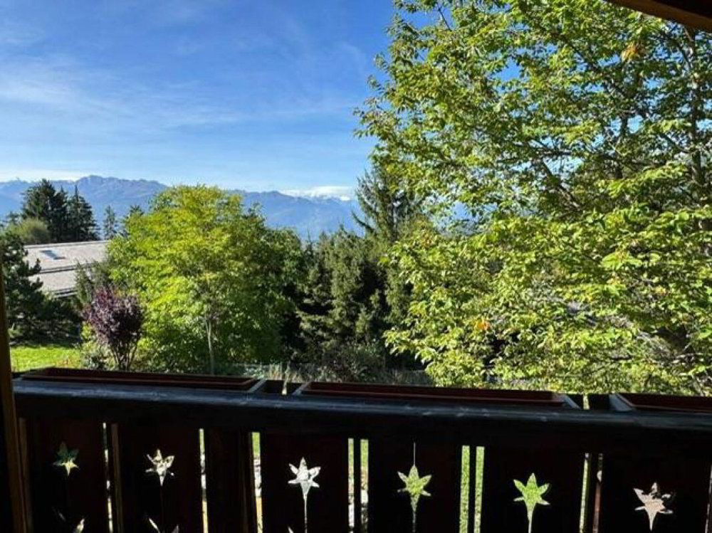 4.5 Zimmer Haus zu vermieten in Crans-Montana - Bild 1/16