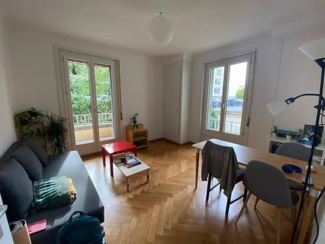 Appartamento di 2 locali in affitto a Lausanne - immagine 1/4