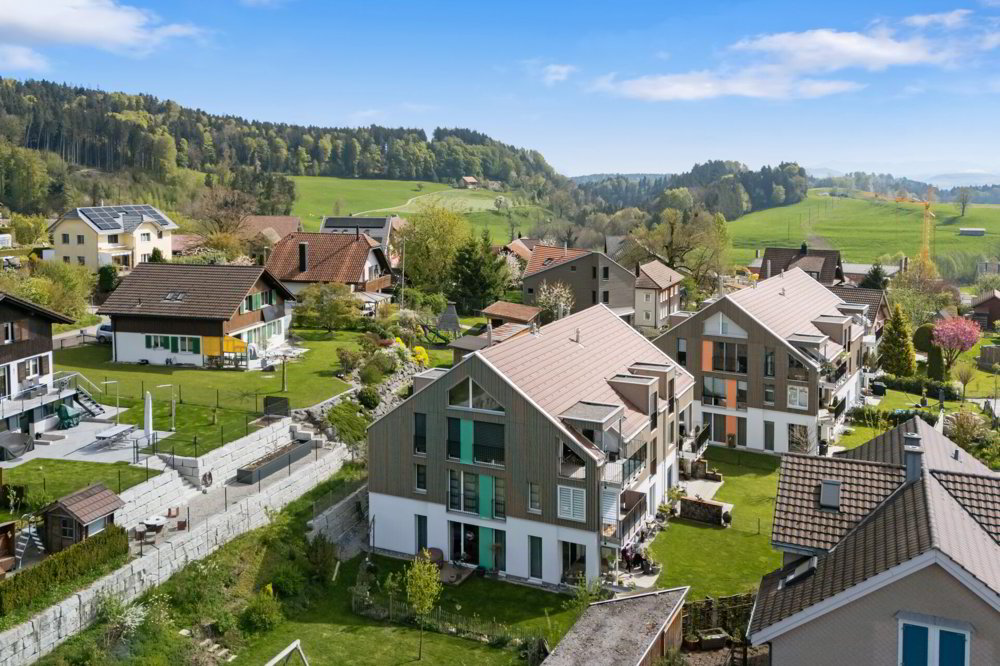 4.5 rooms Apartment to buy in Dietschwil - image 1/13