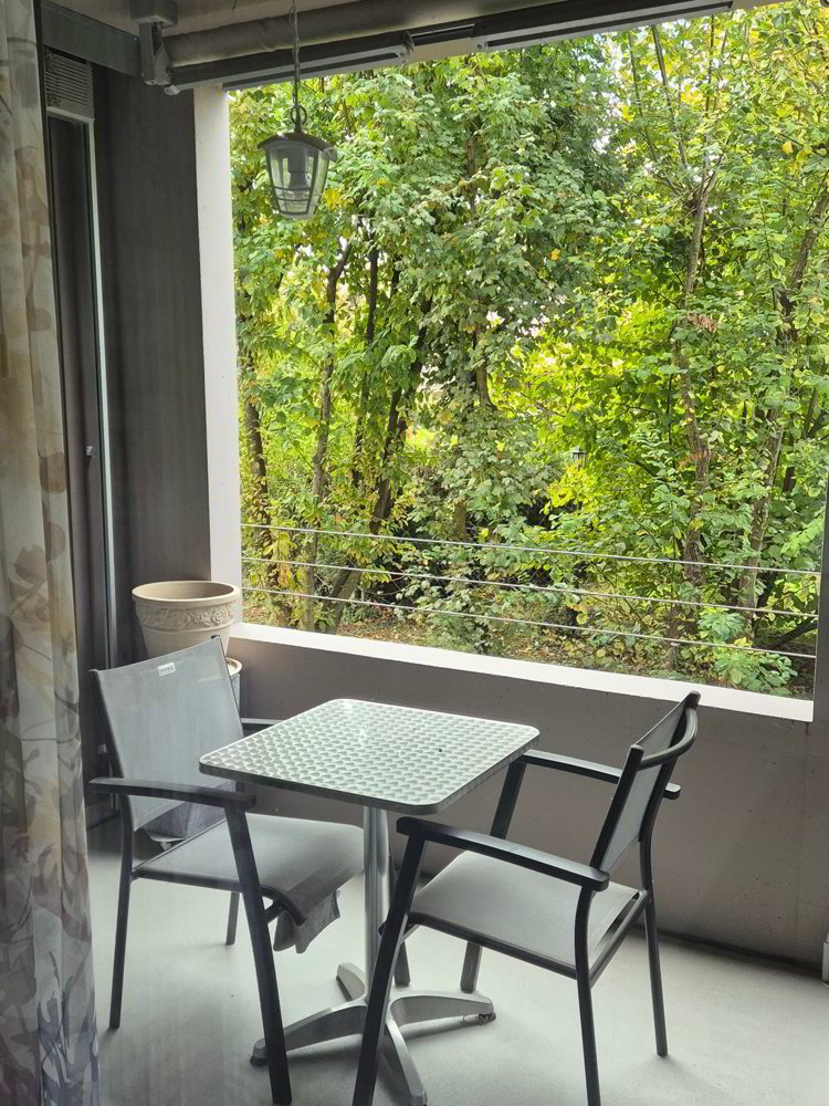 2 rooms Apartment to buy in Estavayer-le-Lac - image 1/8
