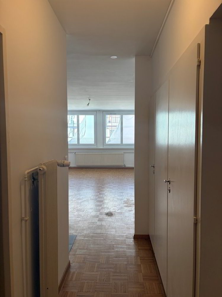 1 rooms Apartment for rent in Genève - image 1/5