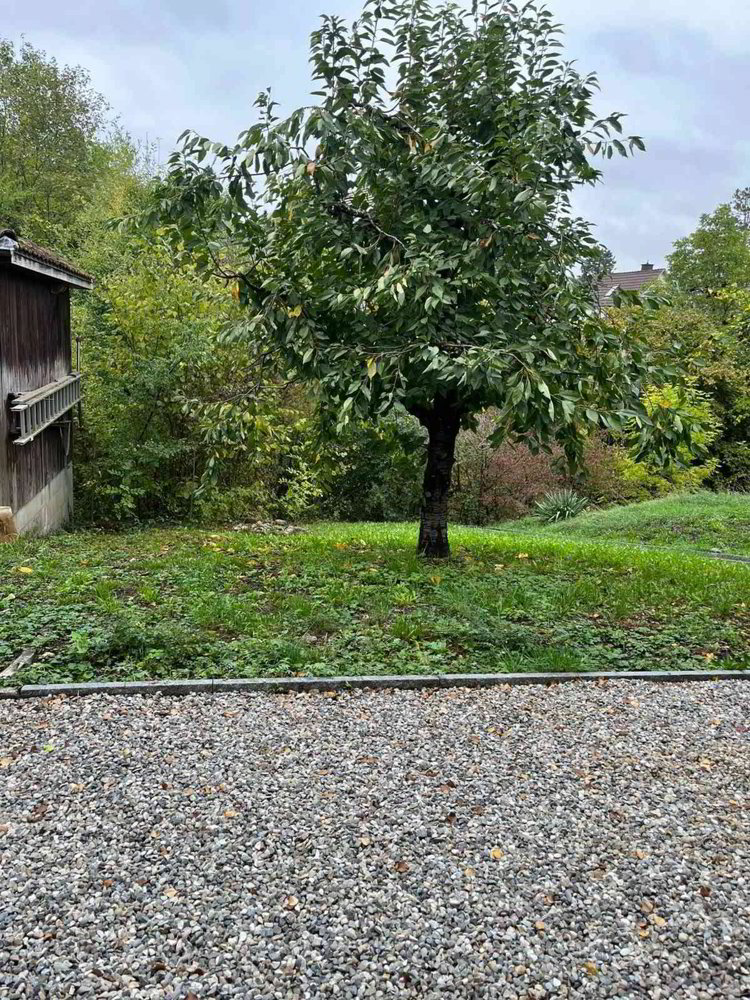 Maison 6 pièces à louer à Sissach - image 1/13