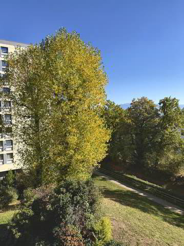 Appartamento di 3.5 locali in affitto a Morges - immagine 1/12