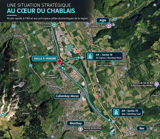 Ufficio & Commercio di null locali in vendita a Muraz (Collombey) - immagine 1/10