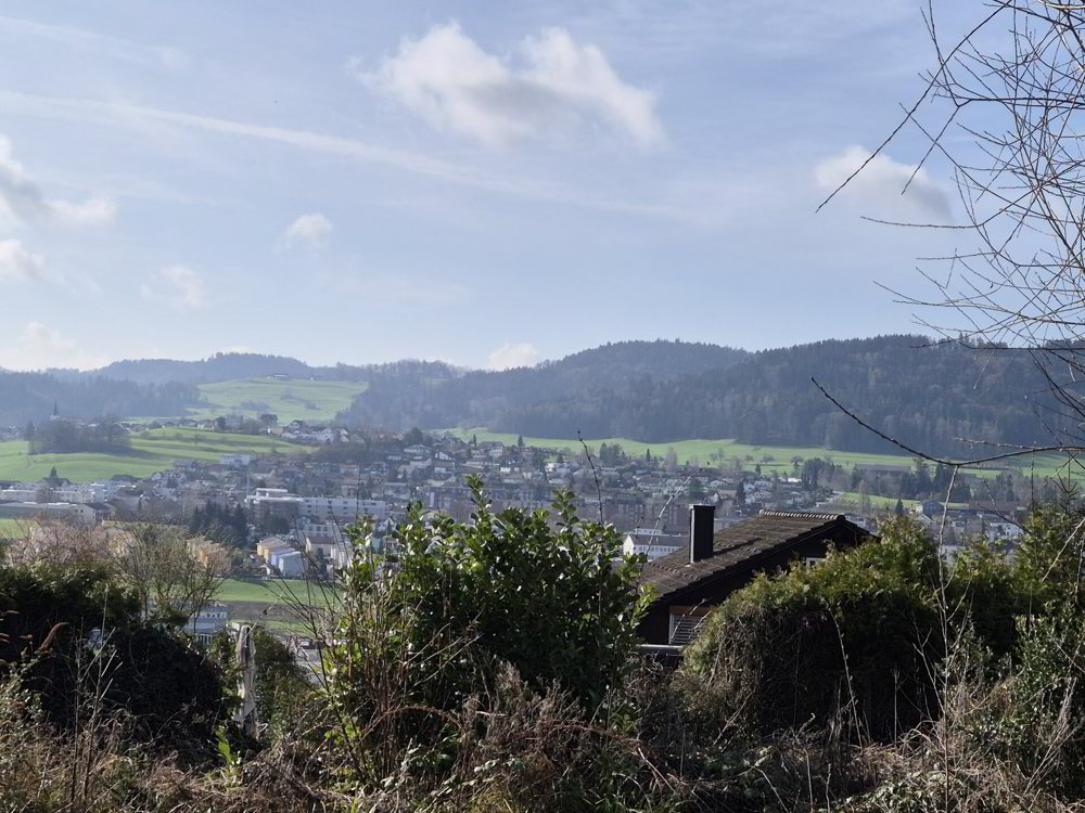 null rooms Office & Commercial to buy in Uzwil - image 1/5