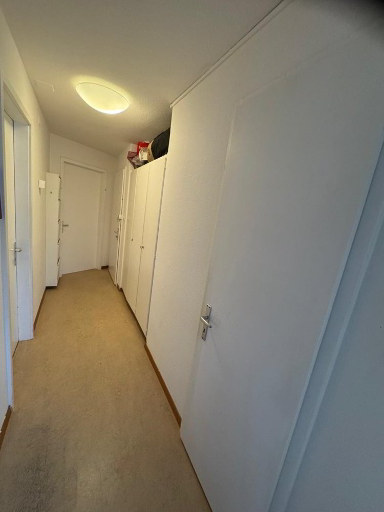 Appartement 3 pièces à louer à Dulliken - image 1/9