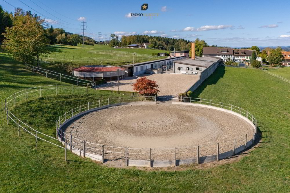 7 Zimmer Haus zum verkaufen in Münchwilen TG - Bild 1/13