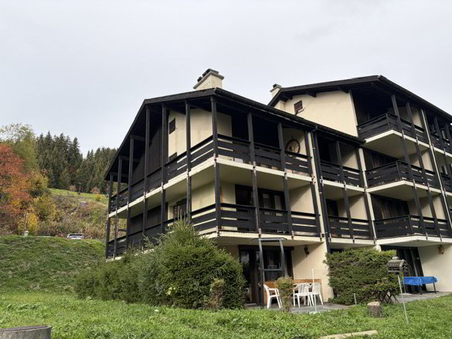 2 Zimmer Wohnung zum verkaufen in Gryon - Bild 1/4