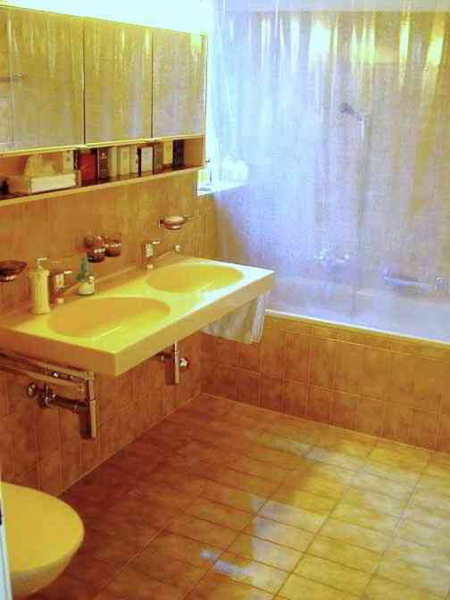 2.5 rooms Apartment for rent in Zürich - image 1/5