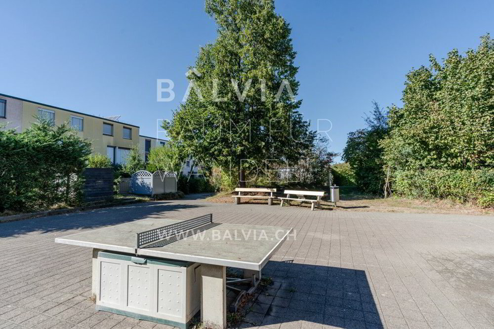 5 rooms House to buy in Therwil - image 1/13