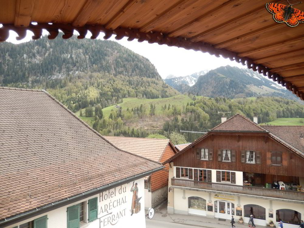 2 Zimmer Wohnung zu vermieten in Charmey (Gruyère) - Bild 1/6